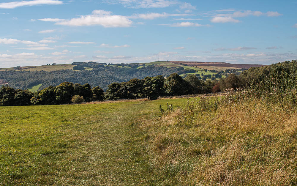 Hay Wood
